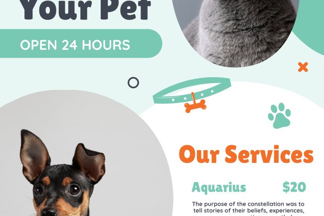 Top 10 Pet Insurance Providers in New York