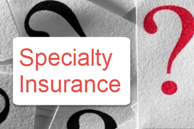 Top 10 Specialty Insurance Providers in Phoenix