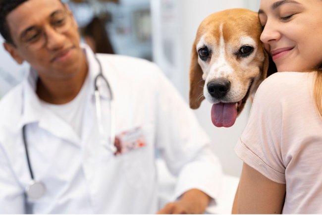 Top 10 Pet Insurance Providers in Houston