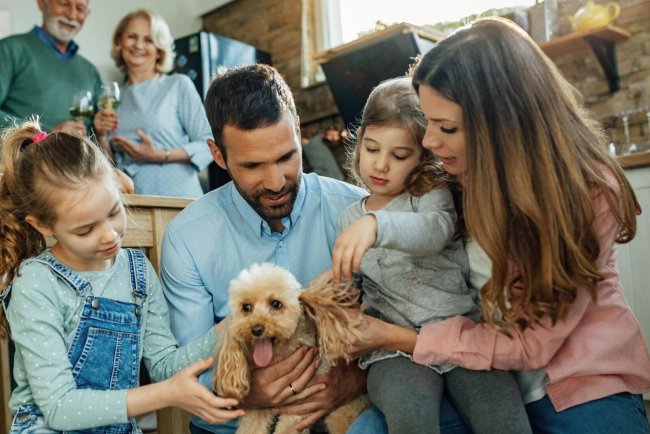 Top 10 Pet Insurance Providers in Jacksonville