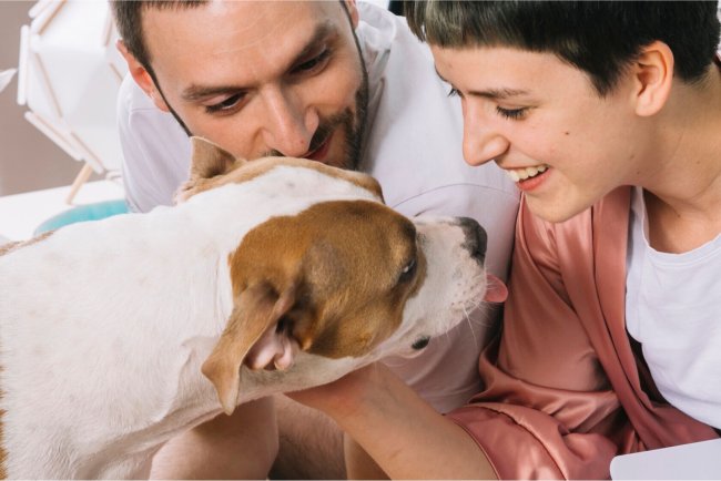 What Does Pet Insurance Cover?