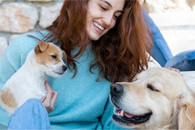 Supervet on Diagnostic Tools Enhancing Veterinary Care