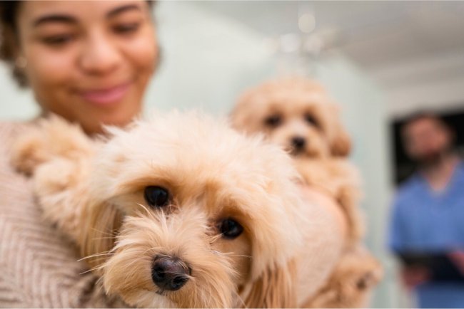 Avoid Hidden Limits How to Ensure Your Insurance Coverage Meets Your Needs