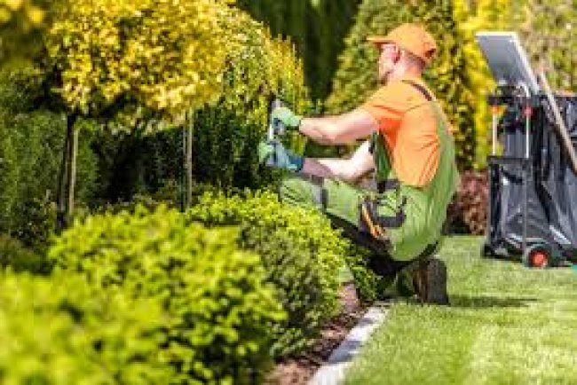 Why Landscapers and Lawn Care Contractors Need General Liability Insurance