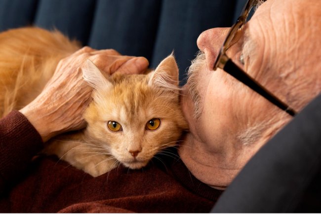 Types of Pet Insurance Policies