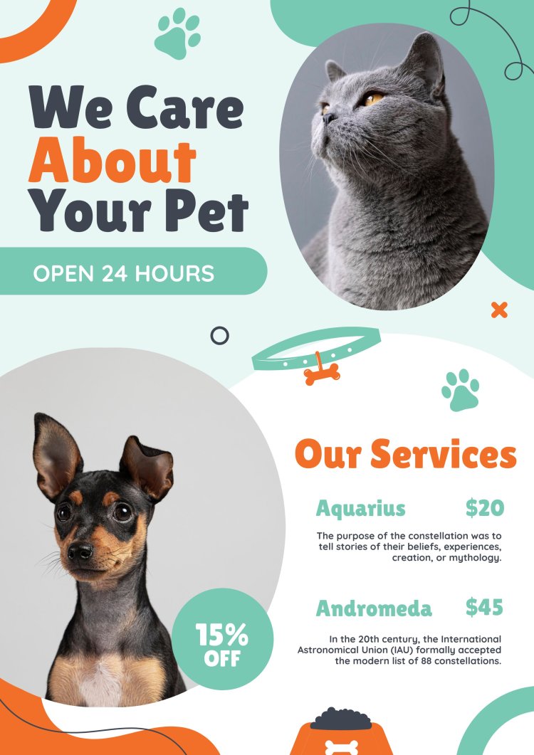 Top 10 Pet Insurance Providers in New York