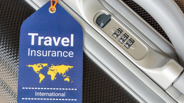 The Travelers Companies Group Services & Insurance Plans