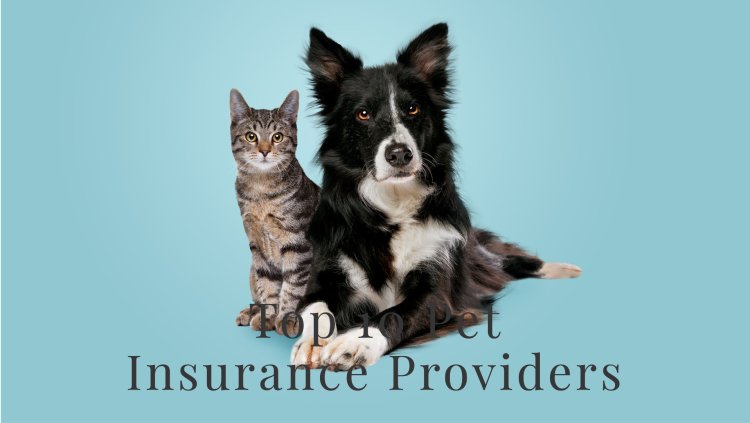 Top 10 Pet Insurance Providers in Indianapolis