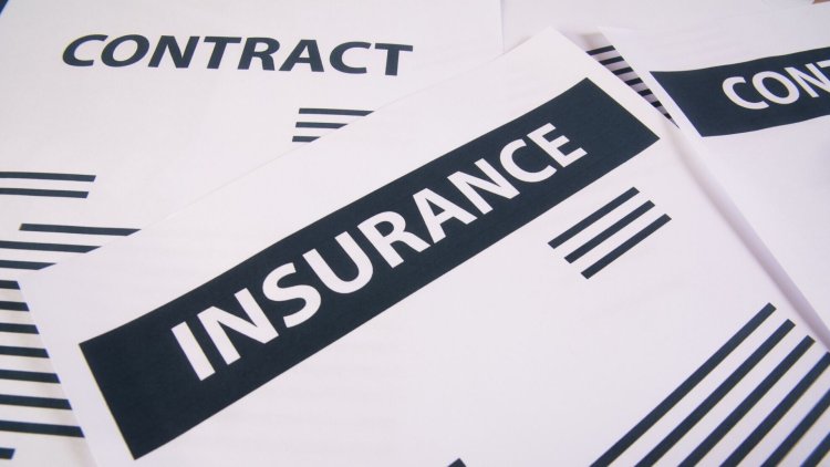 Top 10 Specialty Insurance Providers in Los Angeles