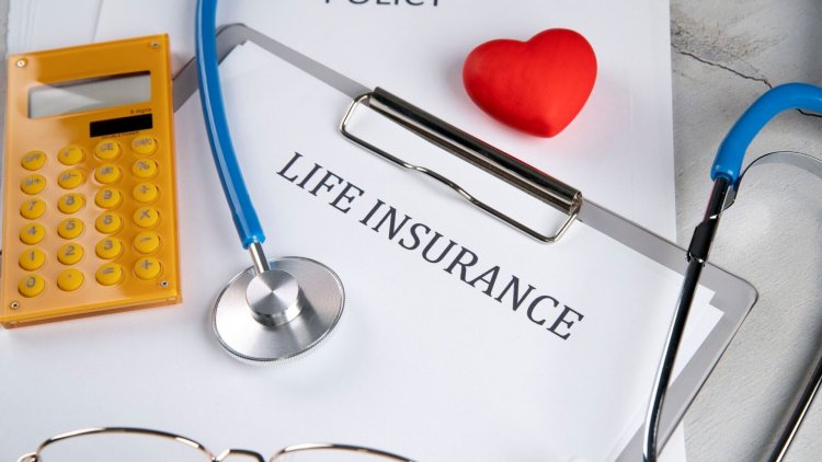 Top 10 Specialty Insurance Providers in Los Angeles