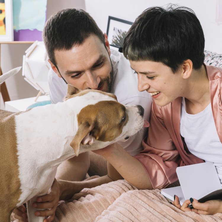 Top 10 Pet Insurance Providers in Columbus