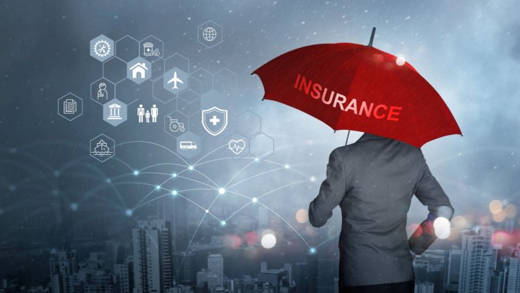 Kinsale Capital Group Services & Insurance Plans