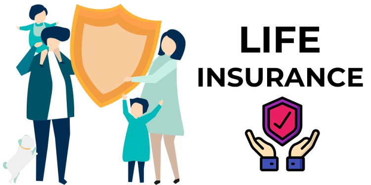 How to Buy Life Insurance on a Budget