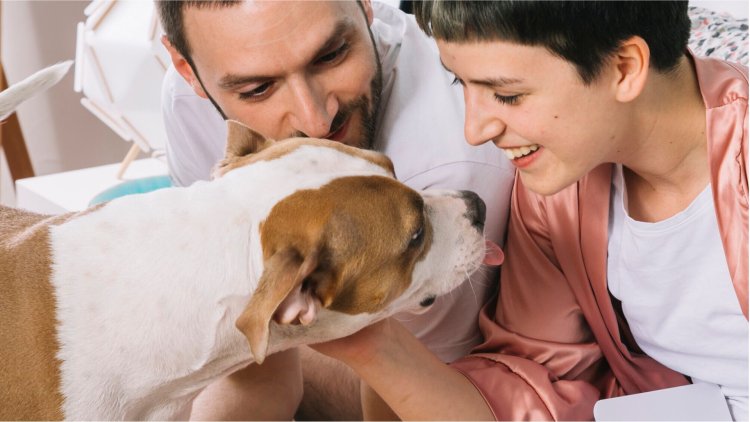 What Does Pet Insurance Cover?