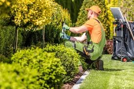 Why Landscapers and Lawn Care Contractors Need General Liability Insurance