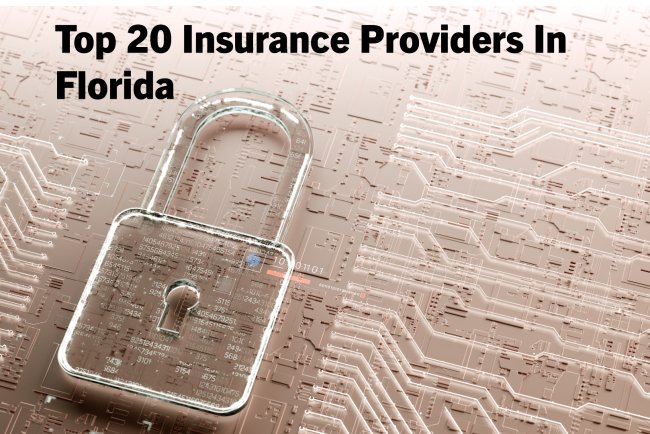 Top 20 Insurance Providers In Florida