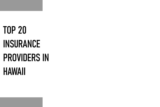 Top 20 Insurance Providers In Hawaii
