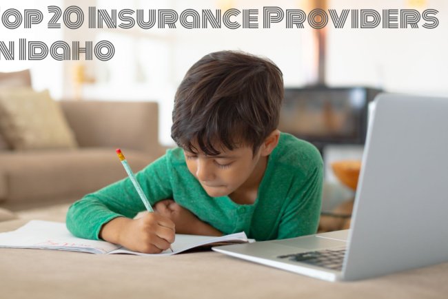 Top 20 Insurance Providers In Idaho