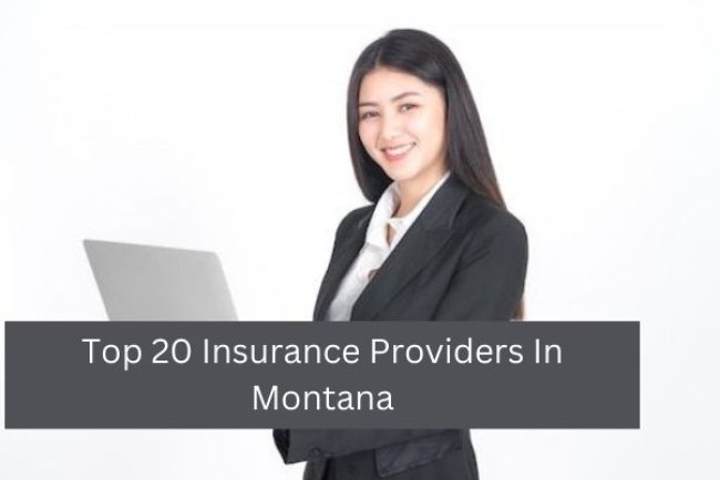 Top 20 Insurance Providers In Montana
