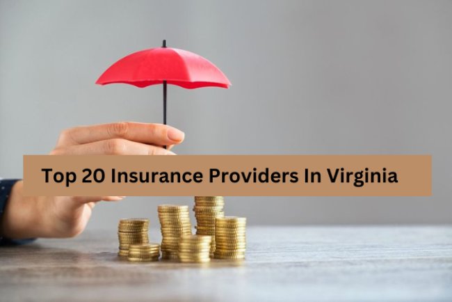 Top 20 Insurance Providers In Virginia